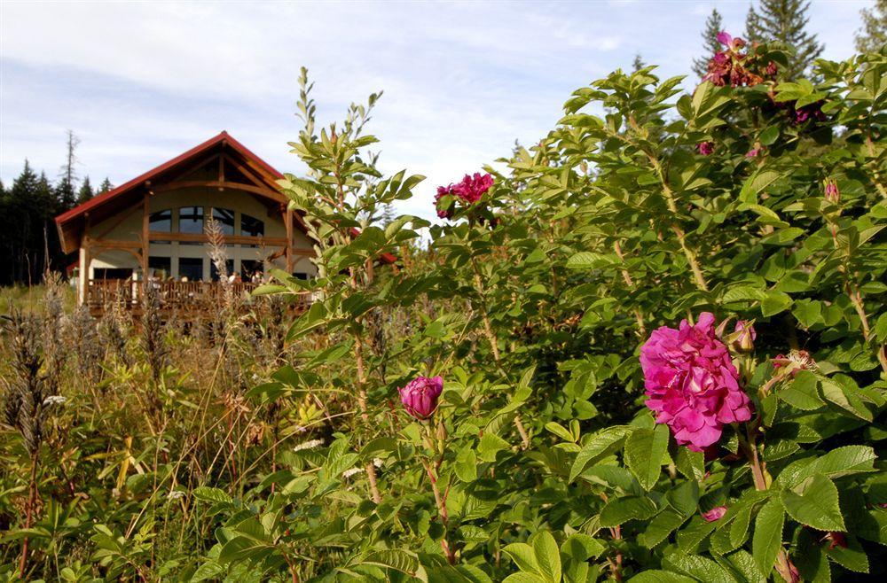 Heather Mountain Lodge Rogers Pass Exterior photo